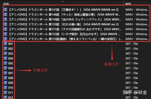 potplayer自动生成字幕
