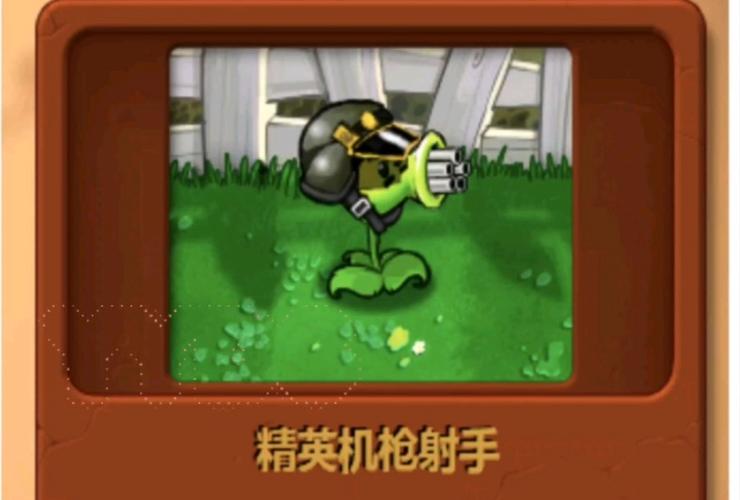 pvz仿e版支线缩略图
