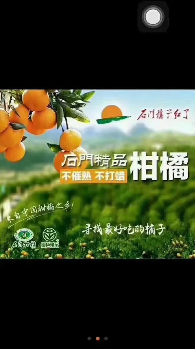 蜜桔85311a.TV-85311a.TV