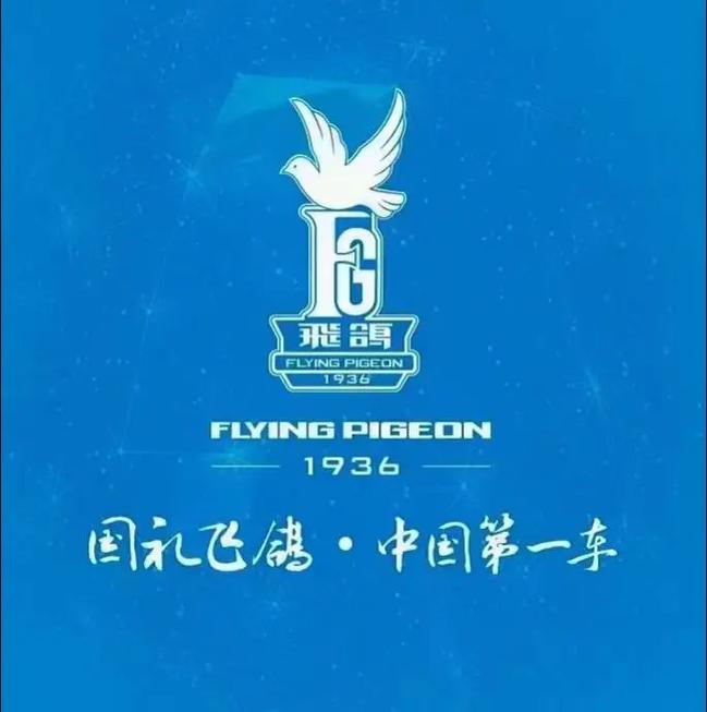 飞鸽官网网站游戏截图
