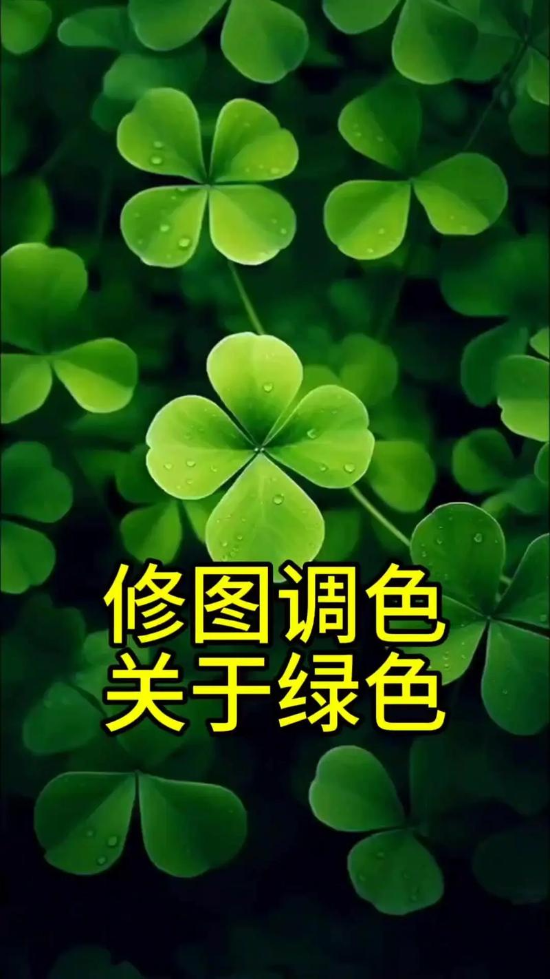 photoshop绿色汉化版2024最新版缩略图