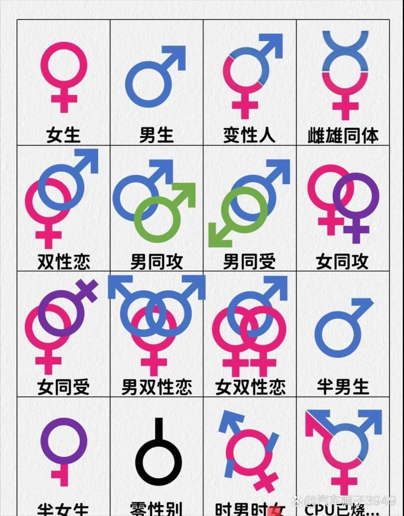 所有雌性都是我的中文版游戏截图