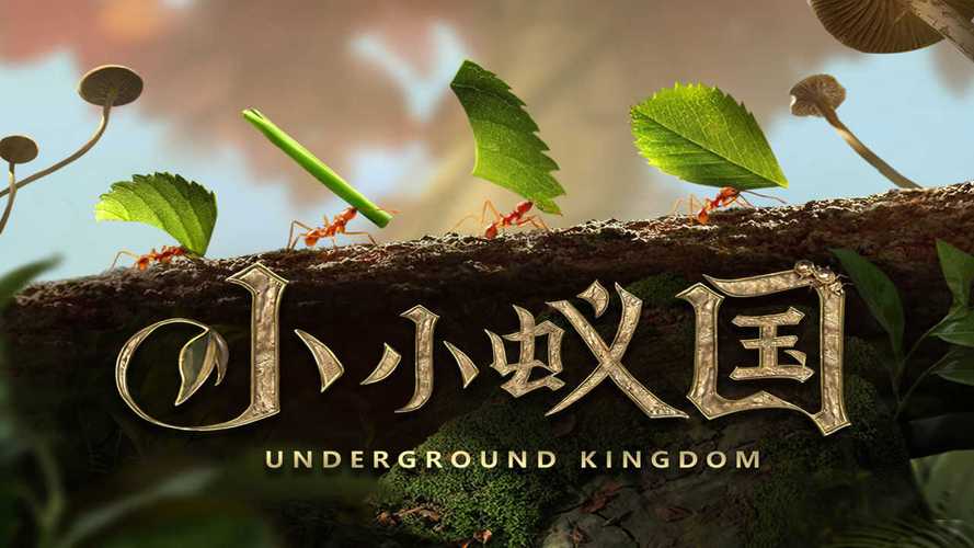 小小蚁国辅助脚本游戏截图