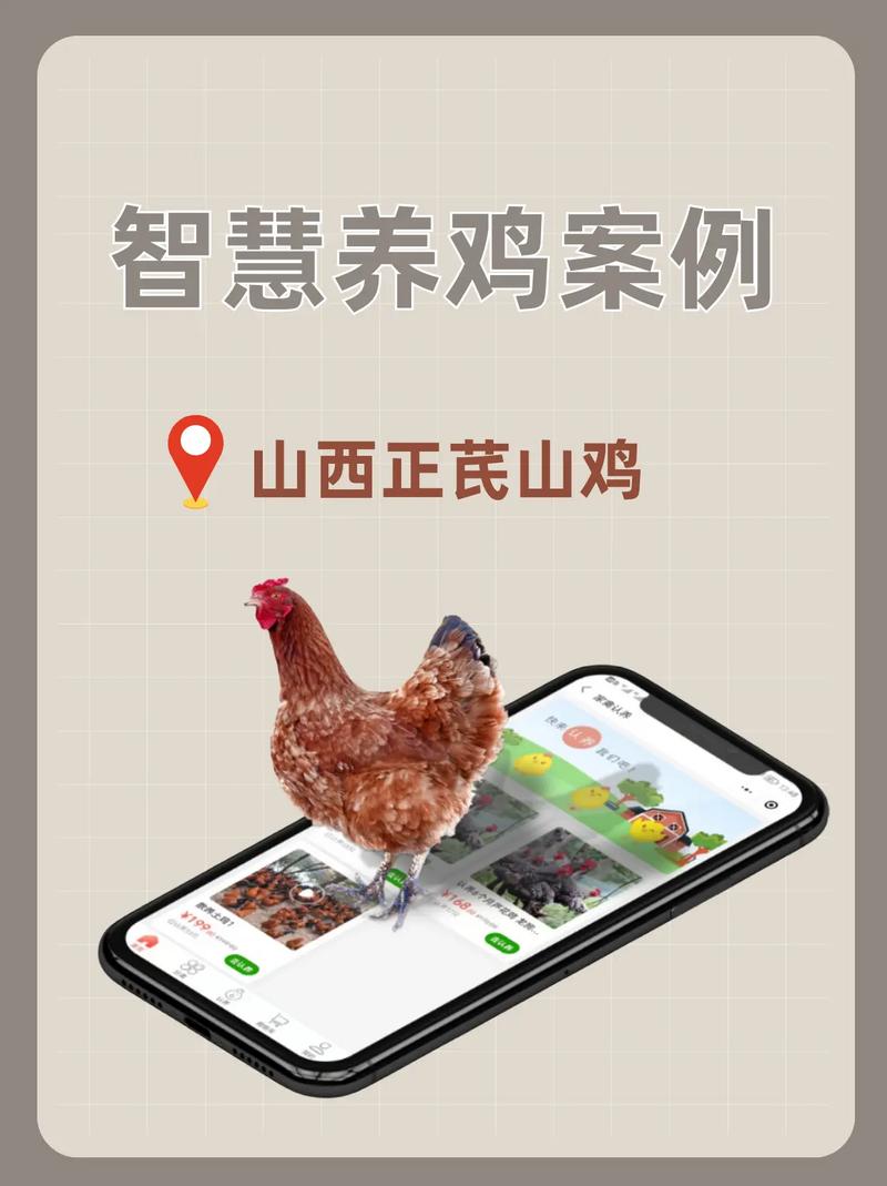 智慧养鸡红包版白色版游戏截图