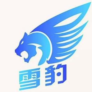 雪豹加速器下载