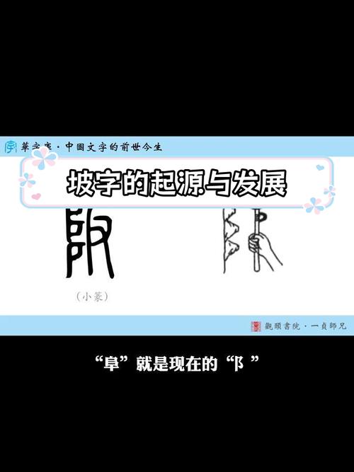坡坡文18入口古文野玫瑰缩略图