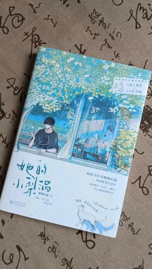 她的小梨涡讲的什么
