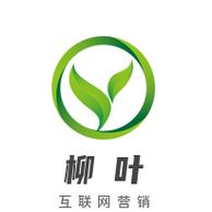柳叶小说游戏截图
