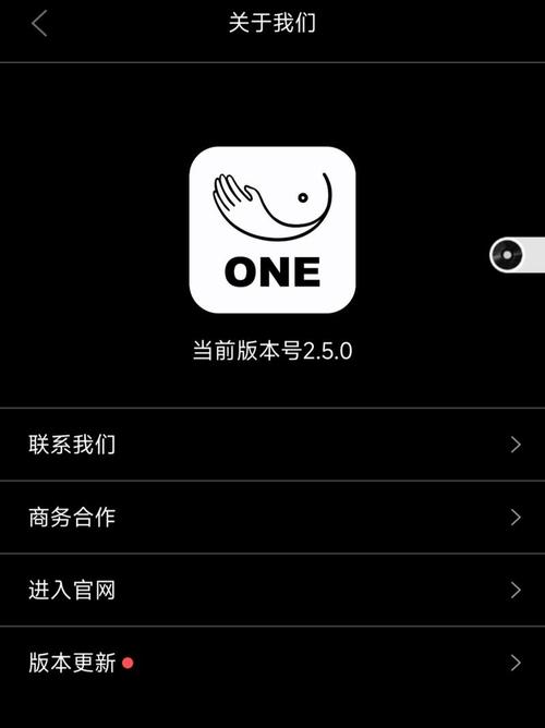 成年版one一个就够了缩略图