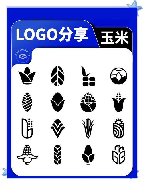 玉米打卡赚钱