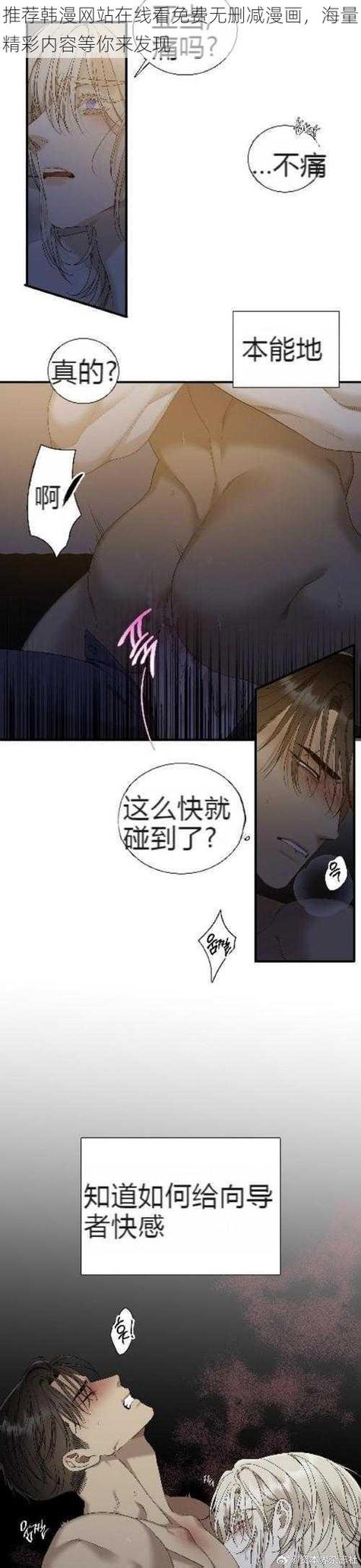 土豪漫画布丁韩漫极速版缩略图