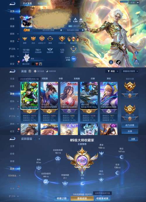 v10共享皮肤显示什么