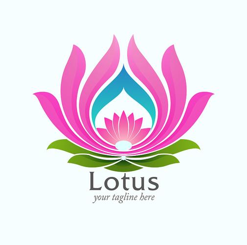 荷花直播app