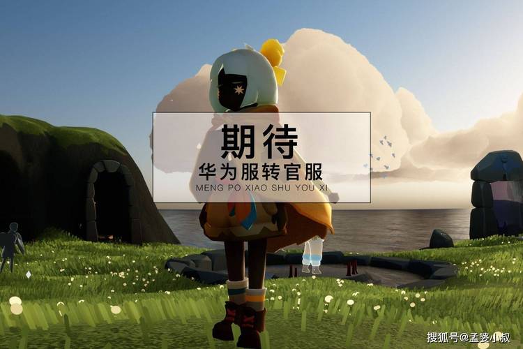 光遇开挂悬浮窗辅助器华为缩略图