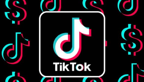抖音国际版tiktok色板免费下载抖音国际版tiktok色板游戏截图