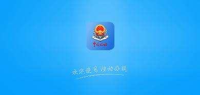 河北税务养老保险app安装最新版本更新内容游戏截图