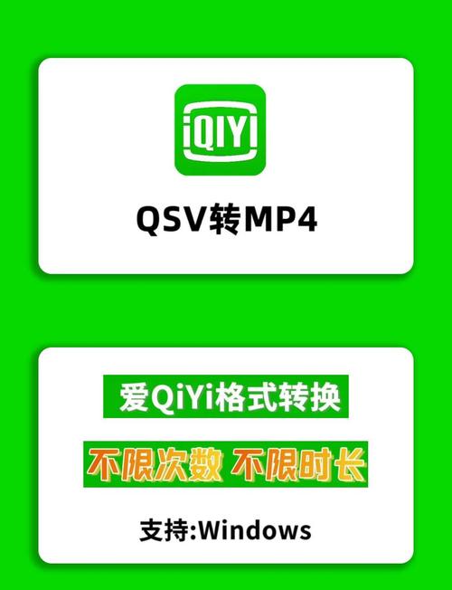 qsv格式转换器手机版安卓版游戏截图