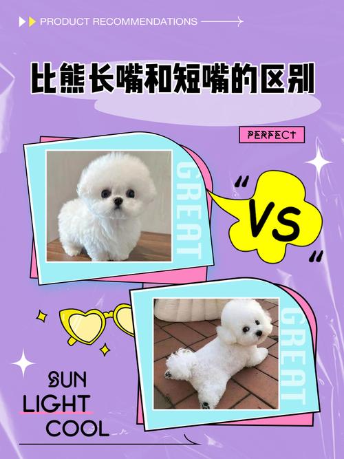 比熊漫画官方正版下载手机版紫色版缩略图