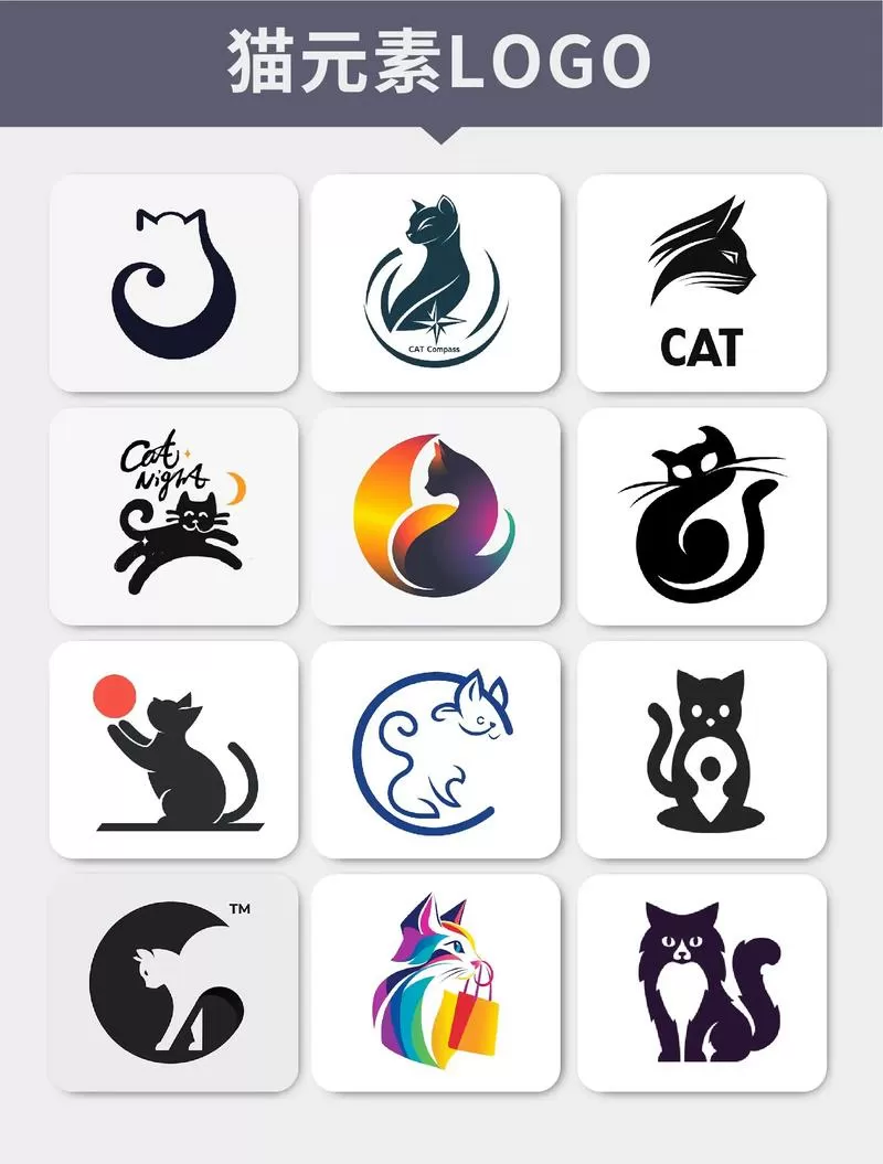 猫咪成长记录