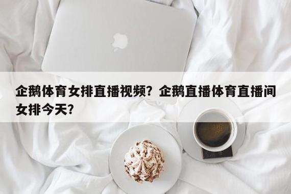企鹅女排现场直播