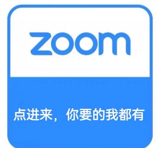 Zoom免费游戏截图