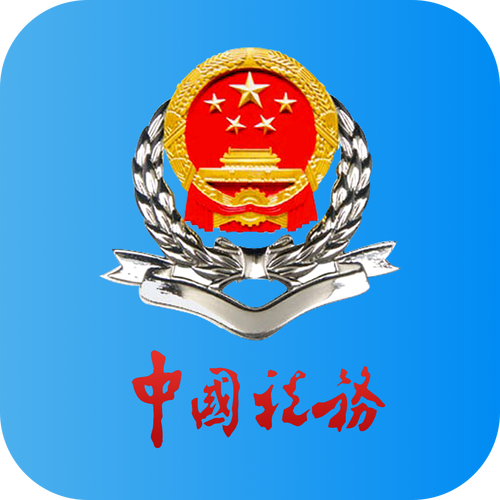 河北税务APP安装最新版本更新内容介绍游戏截图