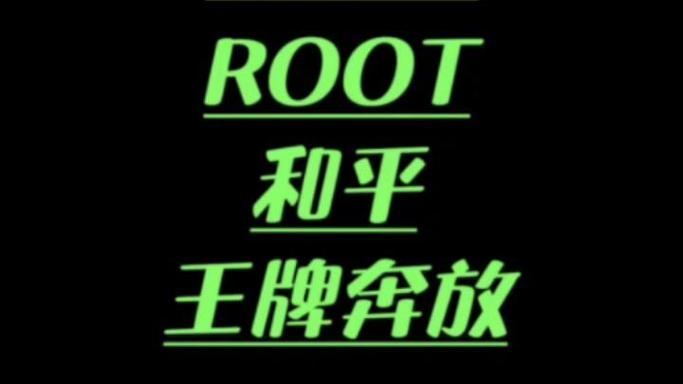 和平精英直装免root黑色版免墙版缩略图