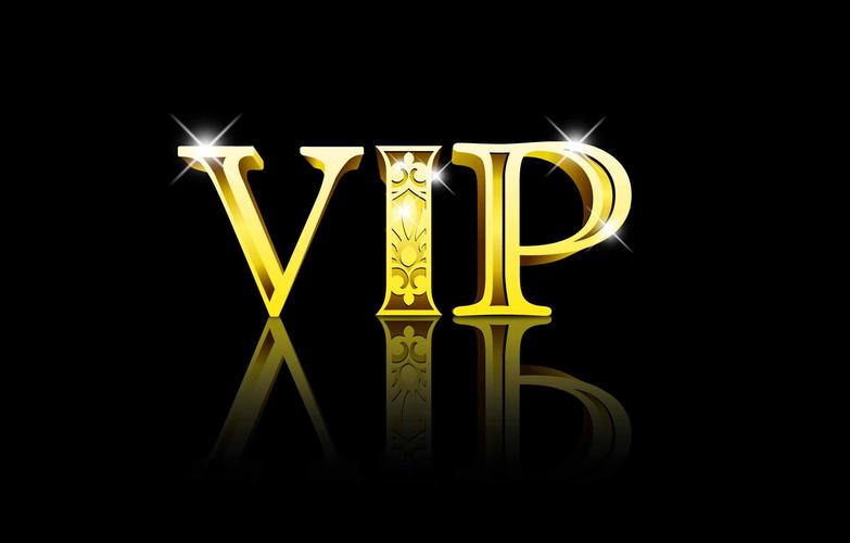logo设计字体设计永久vip版缩略图