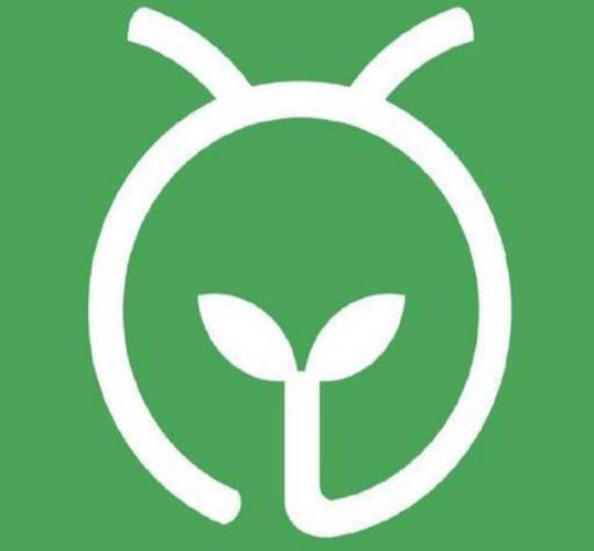 ECH蚂蚁森林