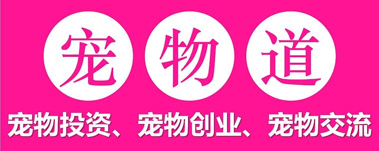 养宠时代20元红游戏截图