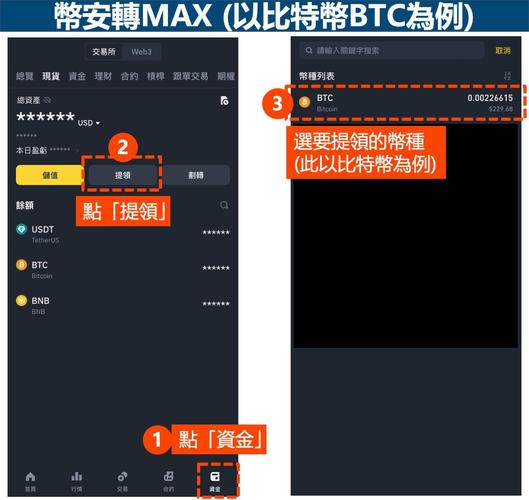 Max币链1元提