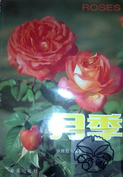 月季小说免费版v缩略图