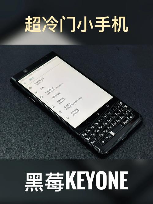 黑莓小说最新手机