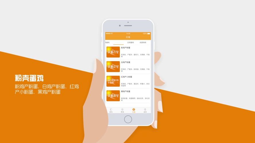 智慧鸡场红包版游戏截图
