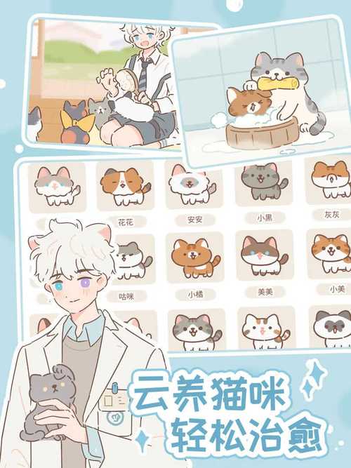 2023遇见你的猫最新版下载