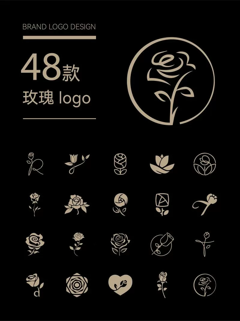 玫瑰花图片高级感