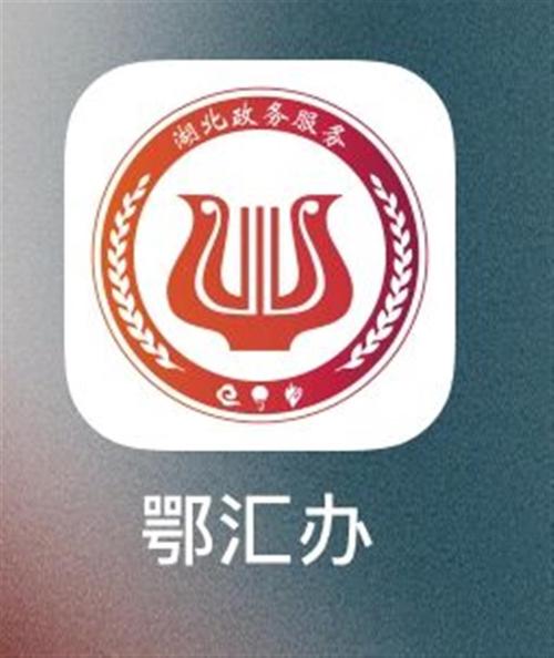 鄂汇办app缩略图