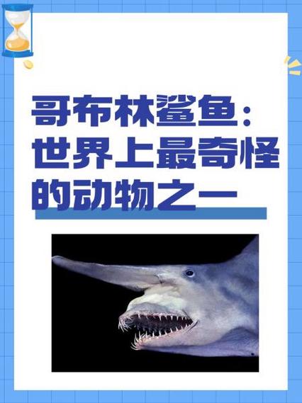 哥布林鲨