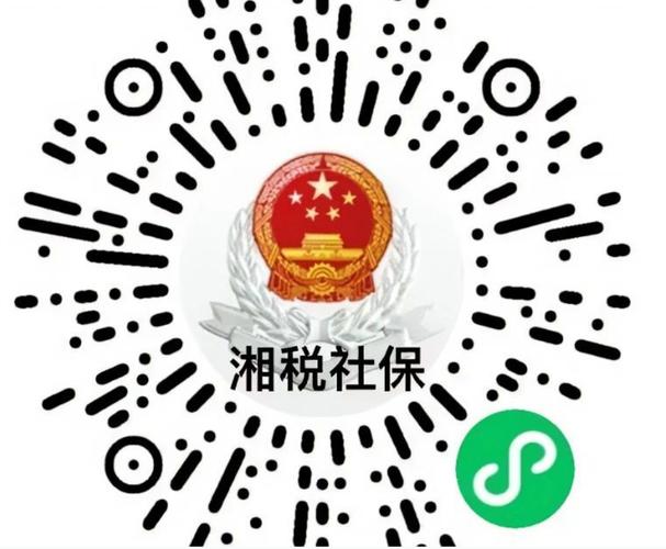 湘税社保缴费app安装