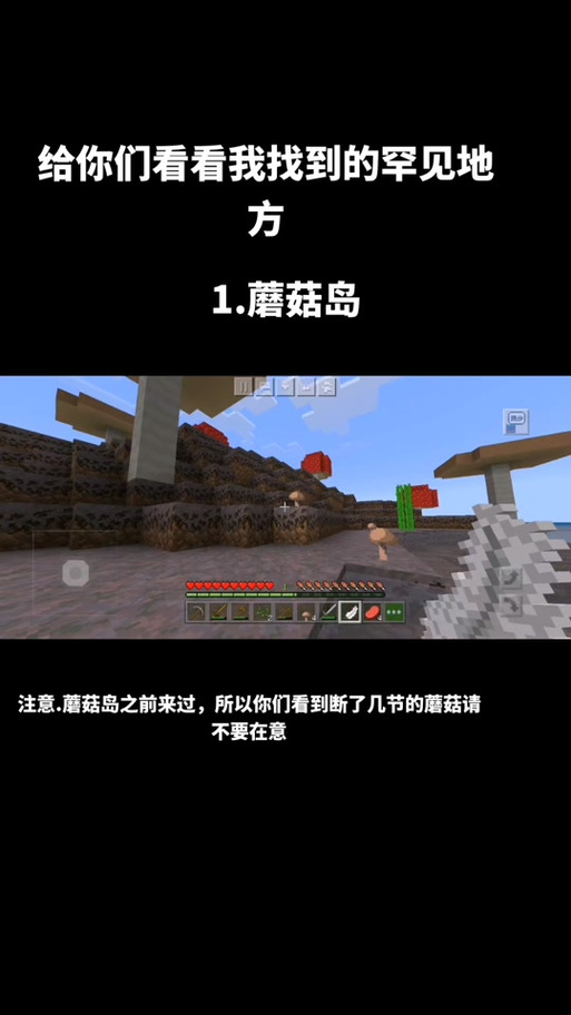 蘑菇岛的指令是什么