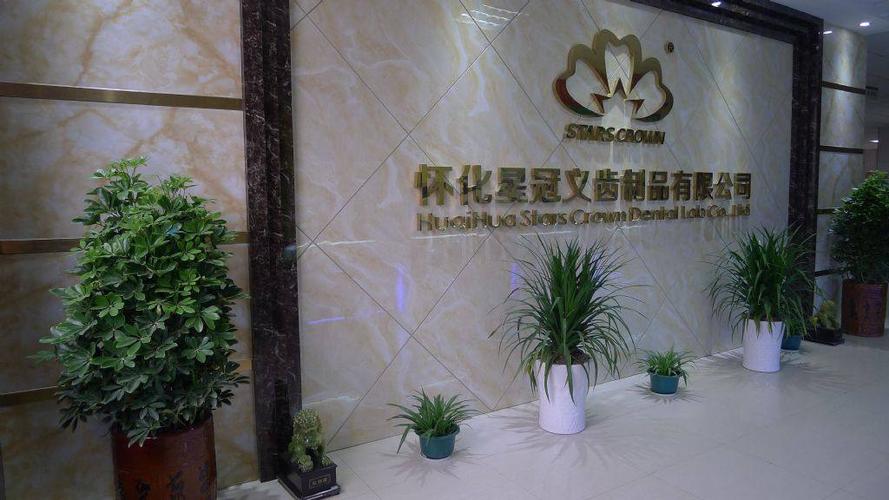 义齿加工厂招聘信息游戏截图