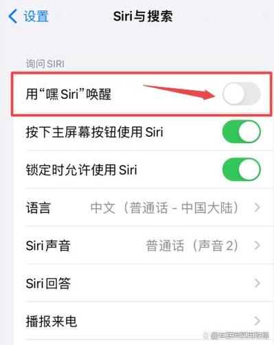 苹果手机语音唤醒设置在哪里图标