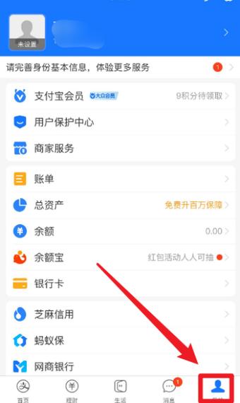 未实名支付宝能消费吗图标