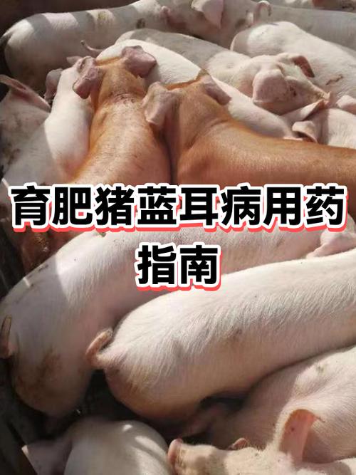 蓝牙耳机丢一只如何配对