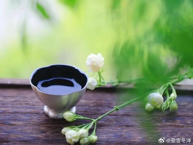 长得一看就很文静的人截图