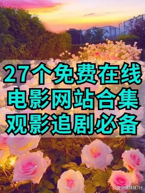 315电影免费观看