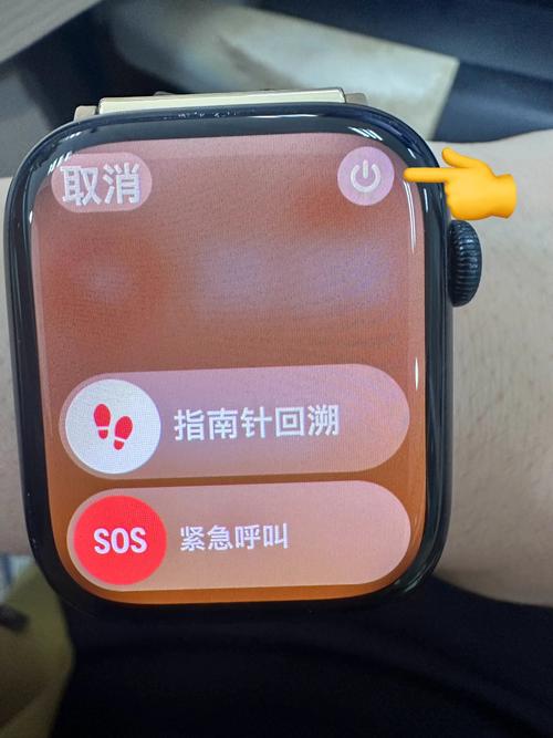 苹果手表总是自动关机图标