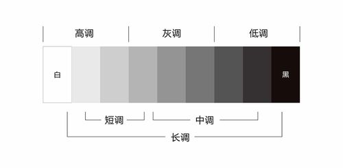 qq背景黑色怎么恢复白色