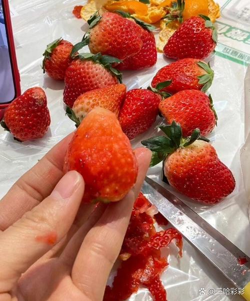 女生说吃草莓的含义