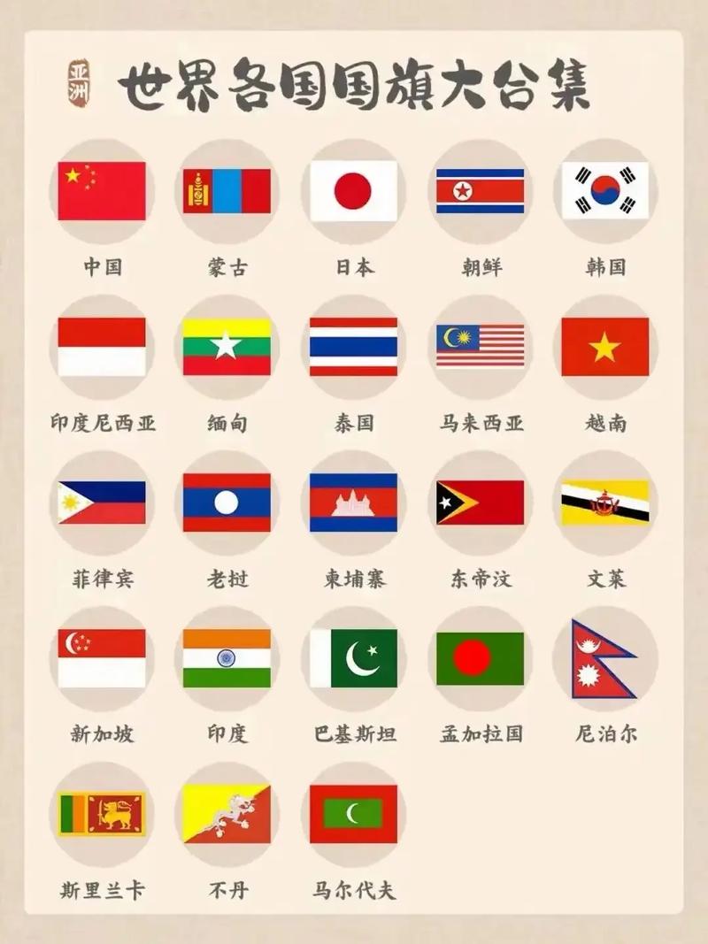 中国禁用的国旗